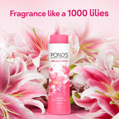Ponds Talcom Powder 400G
