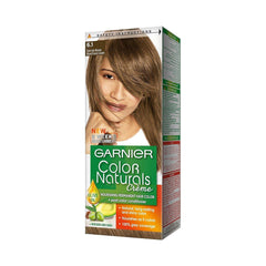 GARNIER 6.1