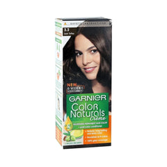 GARNIER 3.3