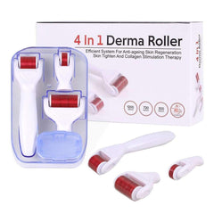 4IN1 DERMA ROLLER