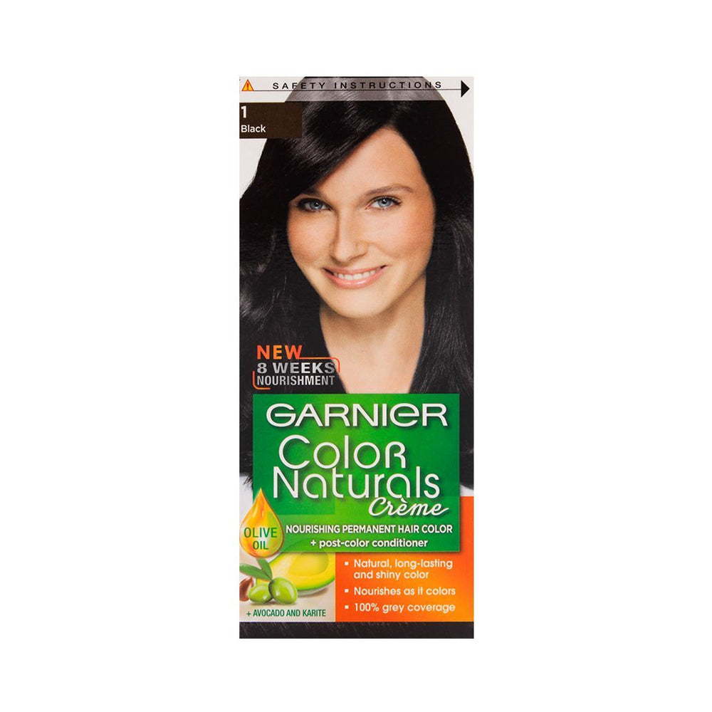 GARNIER 1