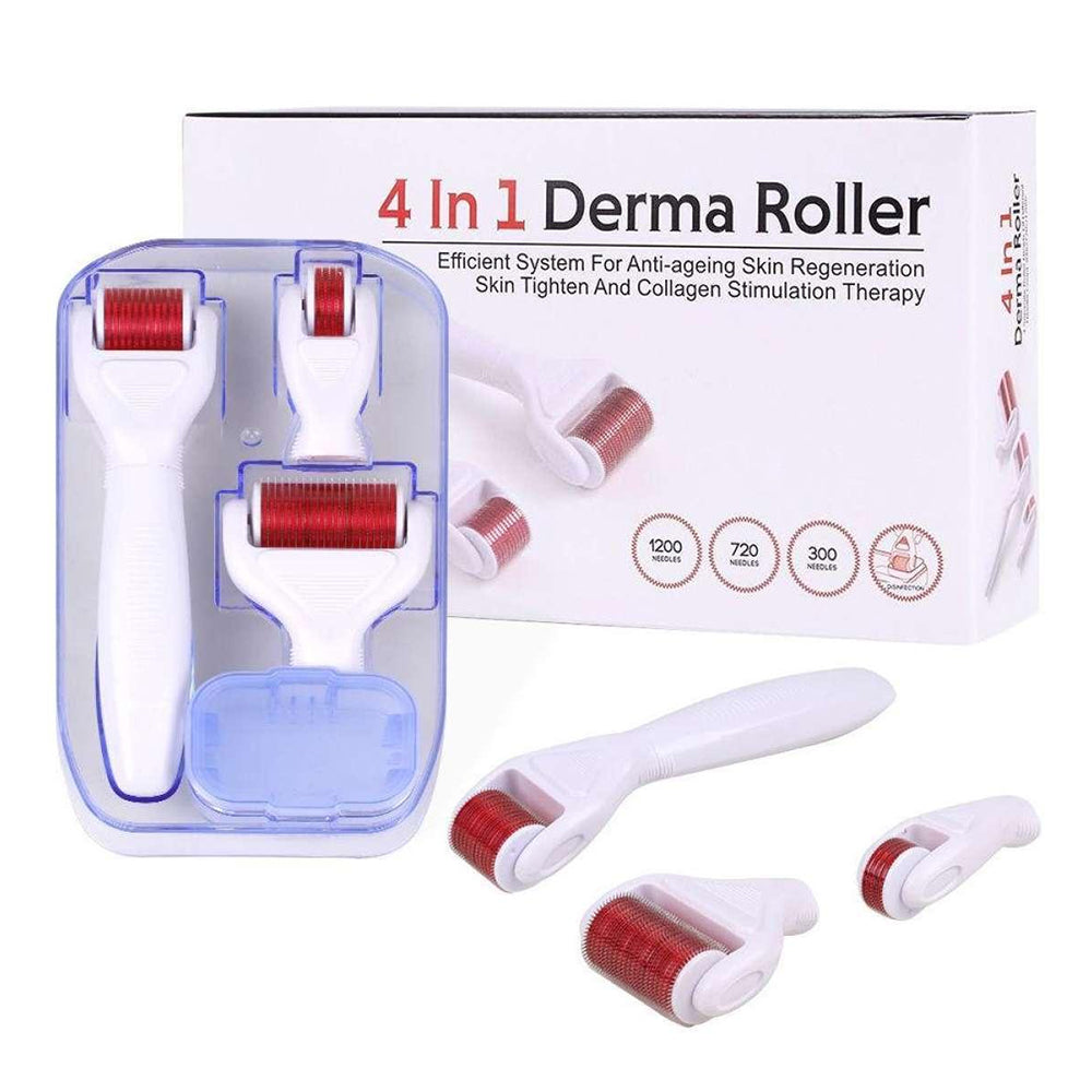 4IN1 DERMA ROLLER
